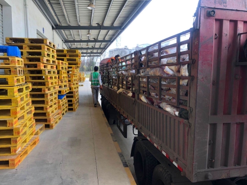 10.金马公司充分发挥资源优势疫情期间保障我市粮食供应-信息照片2